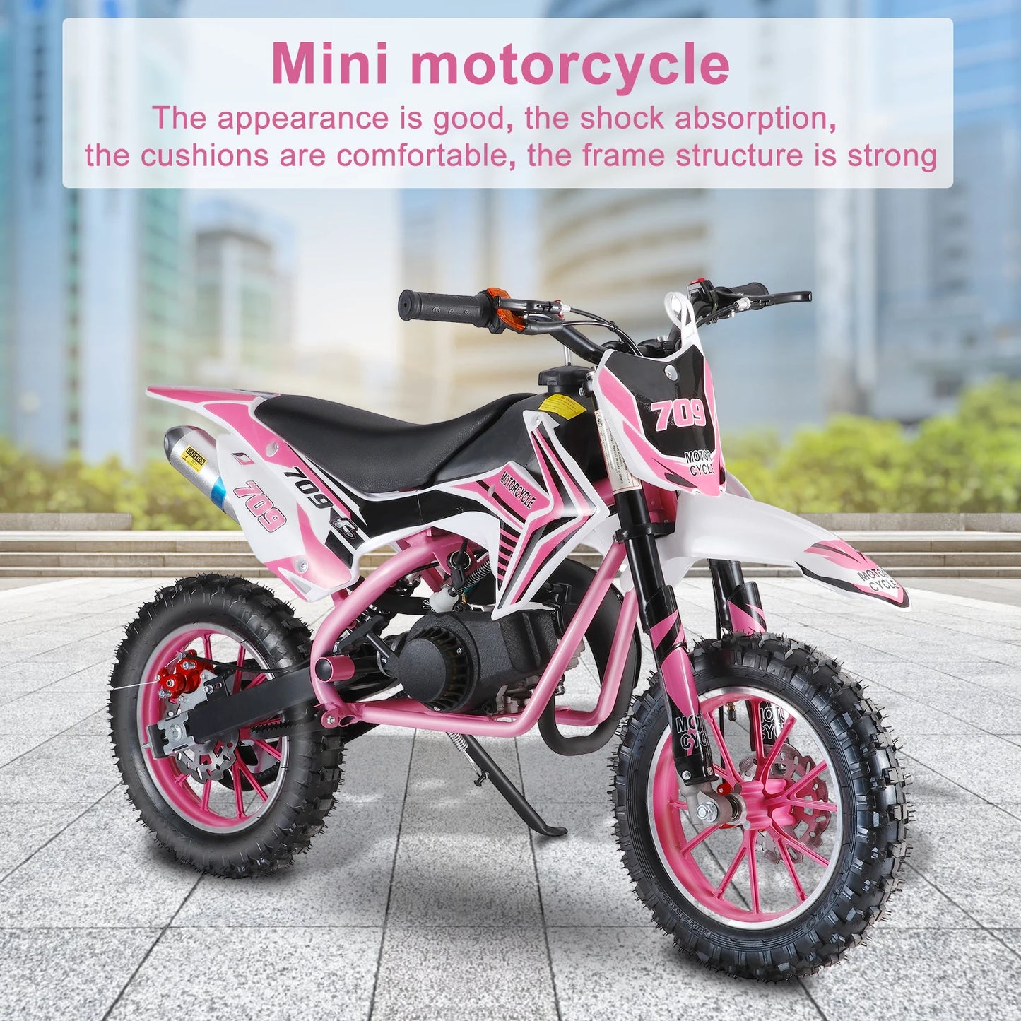 49cc Kids Dirt Bike, 2-Stroke Gas Dirt Bike, Gas Power Mini Dirt Bike for Kids 6-14, Off Road Mini Motorcycle Pocket Motorbike FREE Shipping