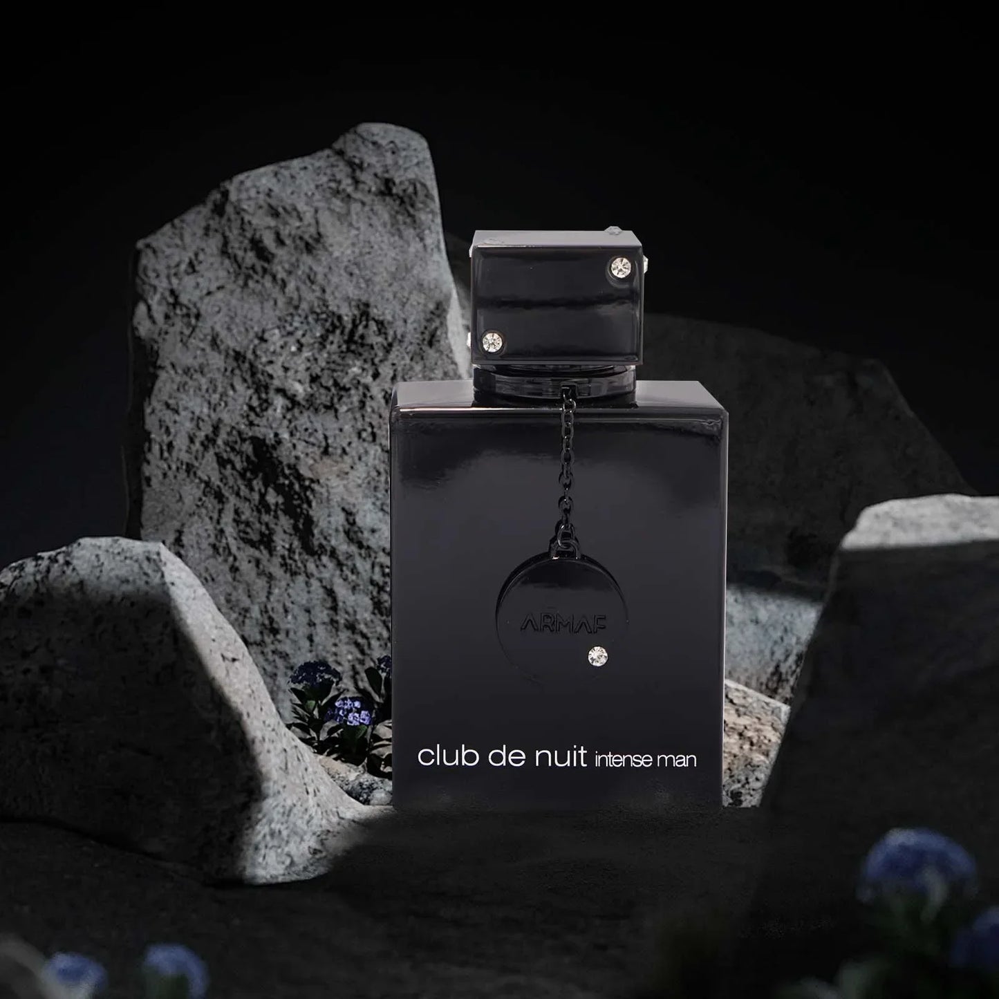 Night Club Wild Black Edition for Men -Luxury Brand Perfume Men 100ml Cologne духи Fragrance Spray perfumes hombres Original Free Shipping