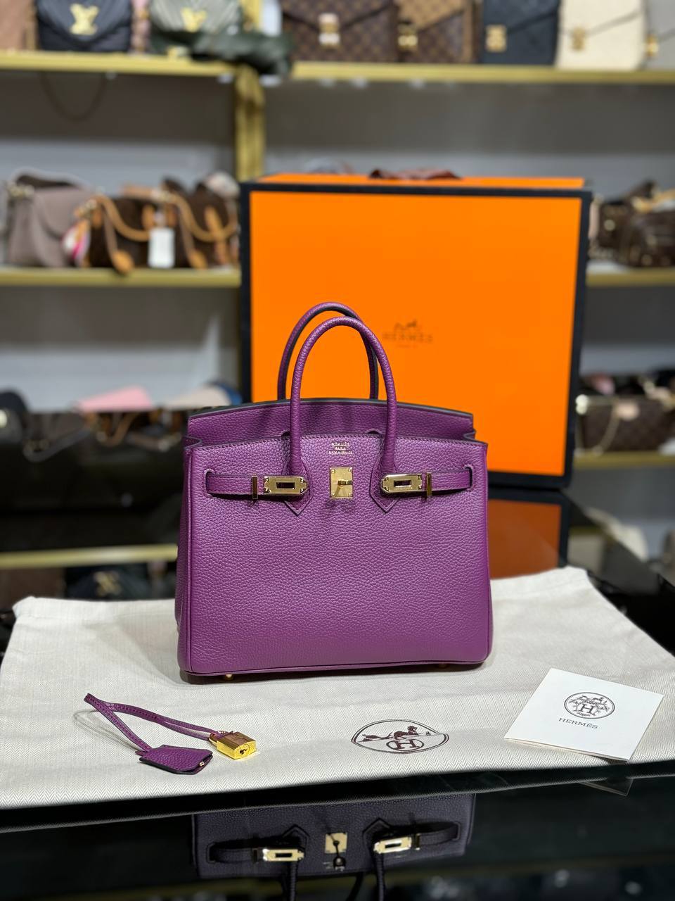 Hermes Birkin 25 Togo Leather Worldwide FREE SHIPPING