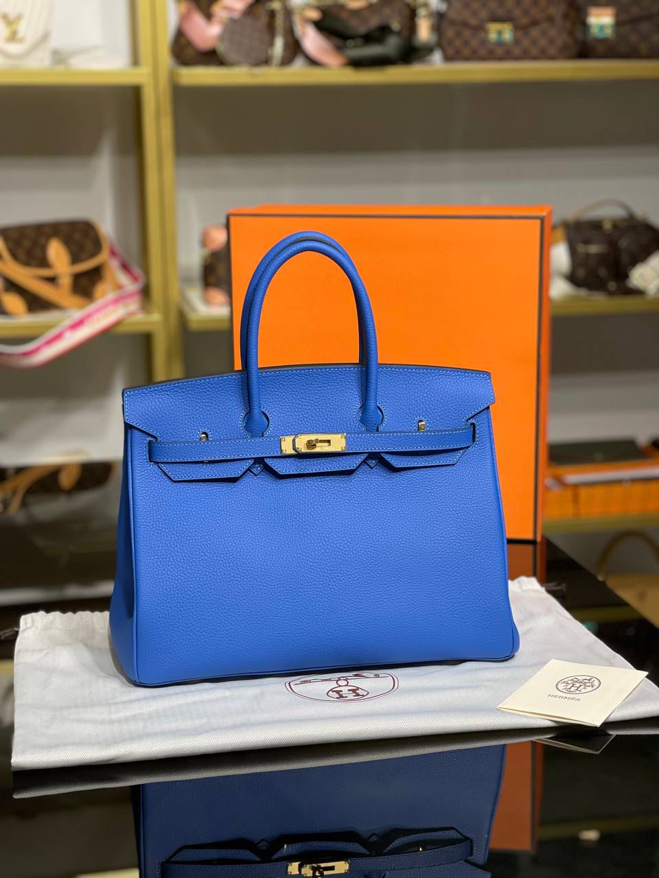 Hermes Birkin 25 Togo Leather Worldwide FREE SHIPPING