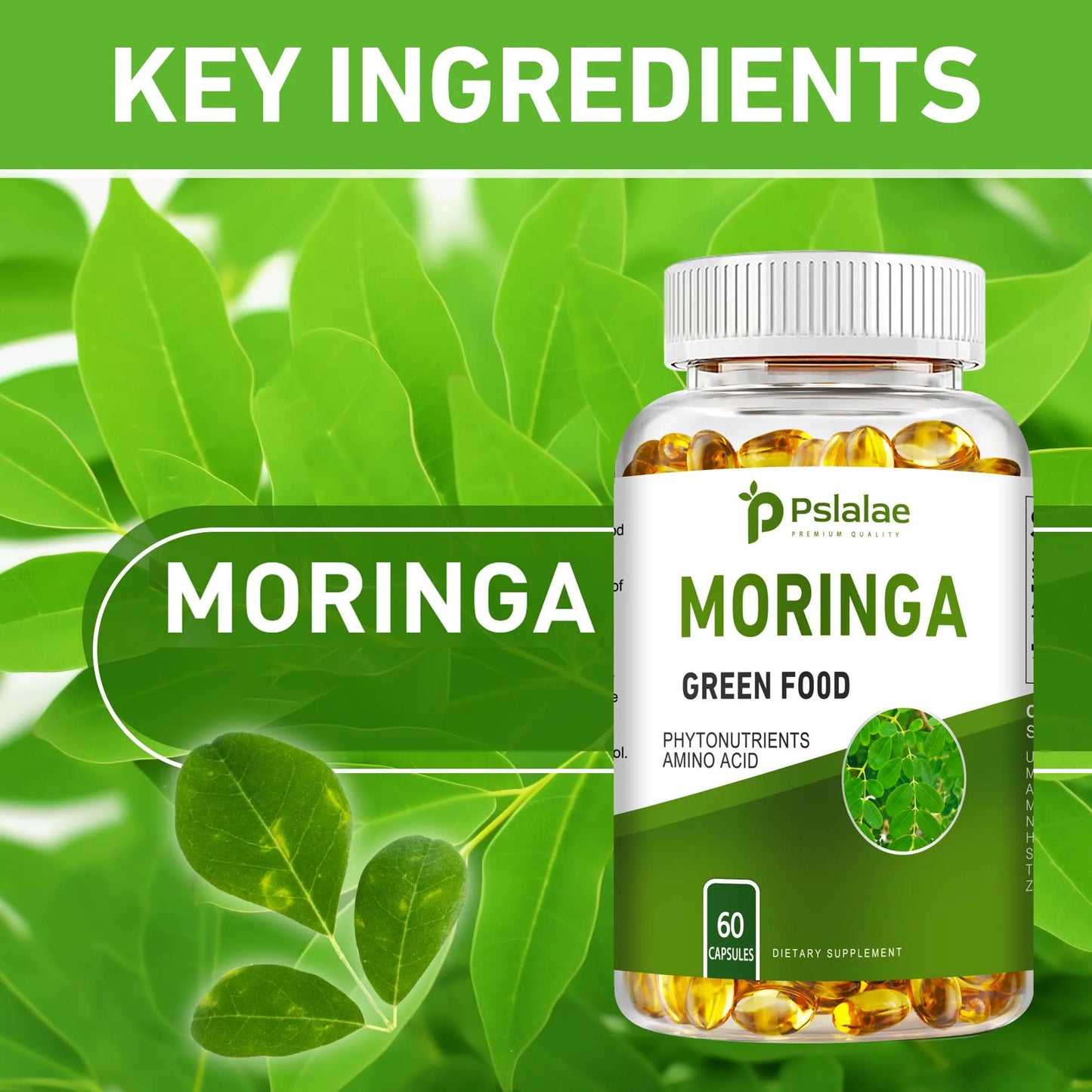 Moringa Capsules - Supports Digestion and Heart, Promotes Immune System Health and Brain Health - 60 Capsules FREE SHPPING