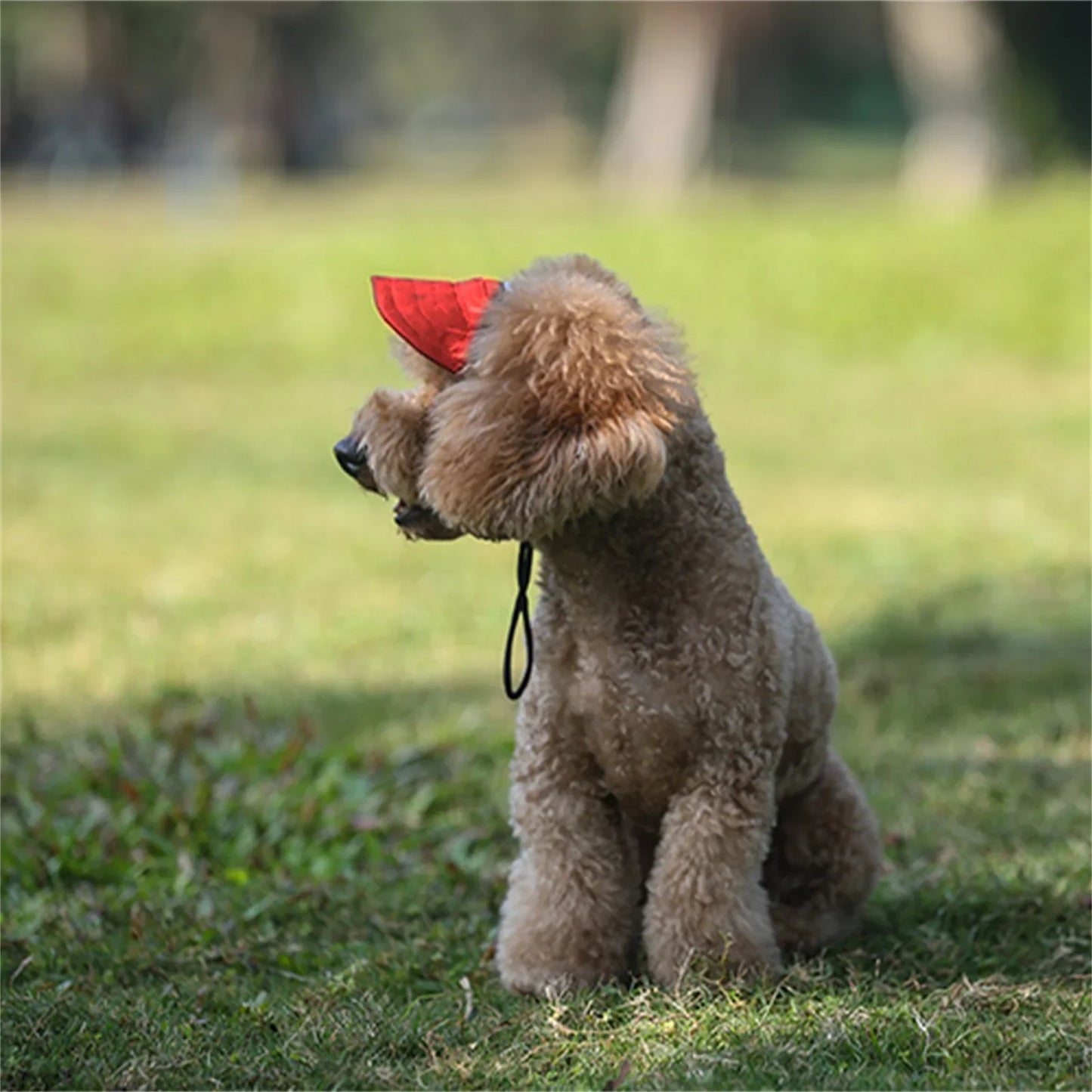 Adjustable Pet Dog Baseball Cap with Ear Holes for Small Medium Dogs Summer Dog Sun Hat Outdoor Hiking Pet Products