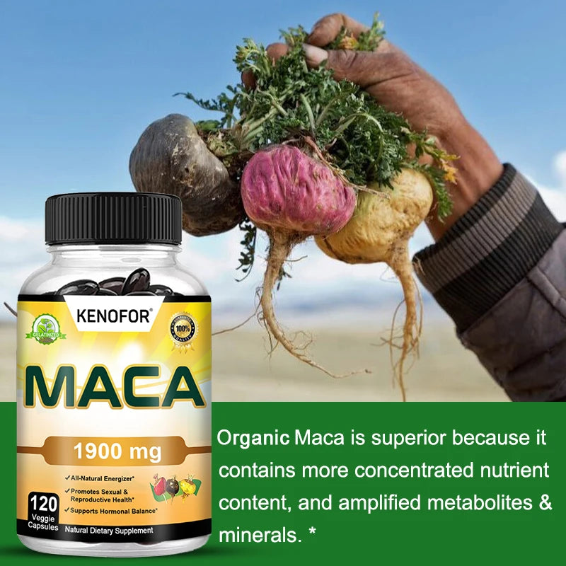 Powerful Natural Maca Extract for Strength, Endurance, Energy Confidence Support, Dietary Supplement