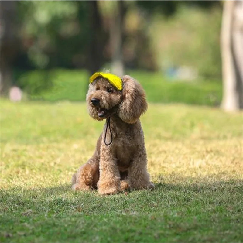Small Puppy Pets Summer Solid Color Cap Dog Baseball Visor Hat Outdoor Accessories Sun Bonnet Travelhelmet FREE Shipping